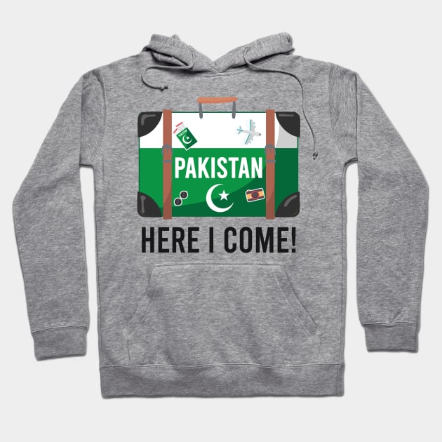 Pakistan here I come. Pakistani flag travel design Hoodie by alltheprints